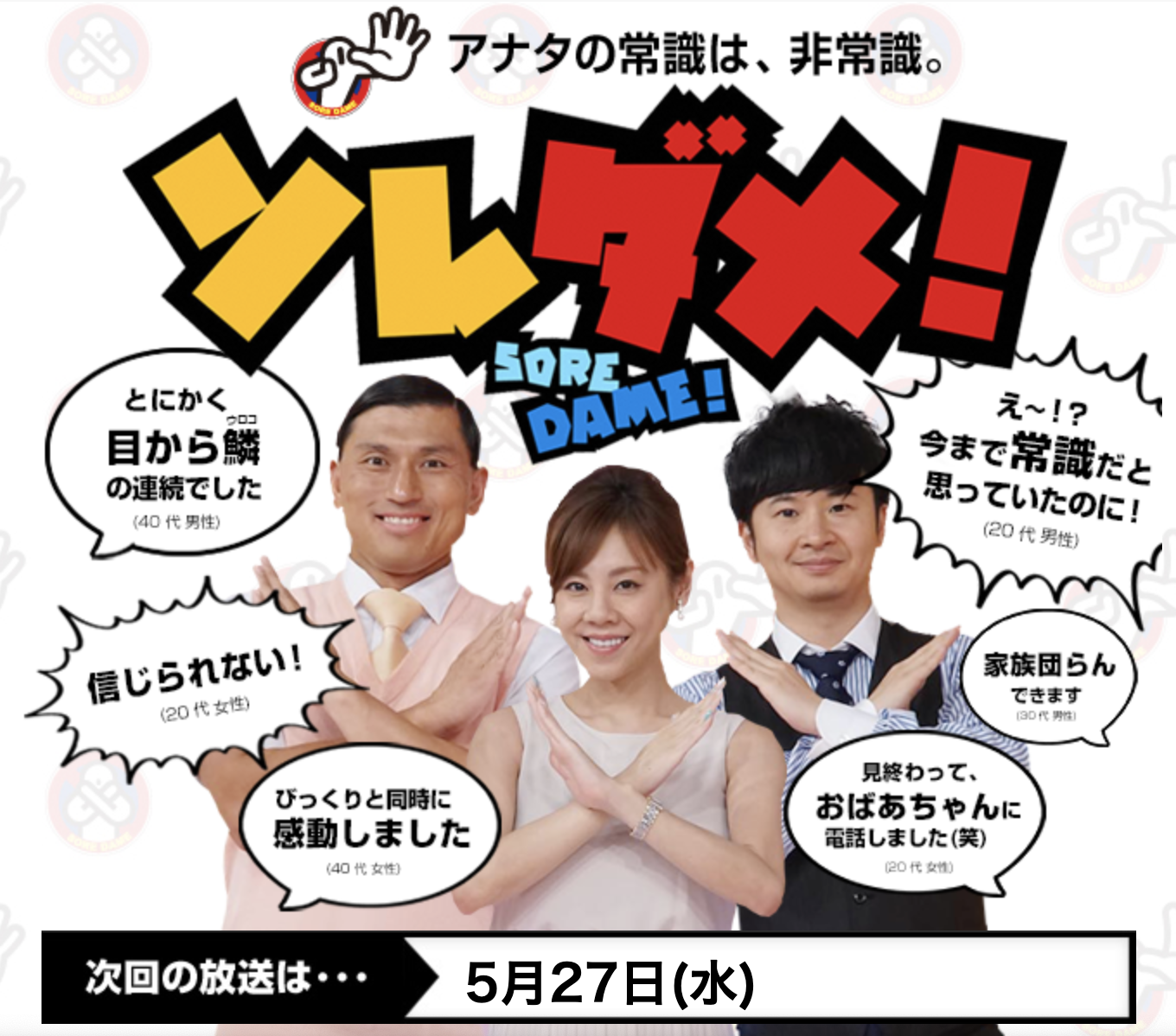 テレビ東京 ソレダメ あなたの常識は非常識 2時間スペシャル に草月流講師の大谷美香さんがご出演 いけばな草月流